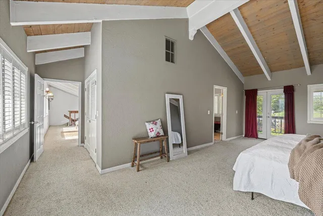 a living room with furniture window and a rug