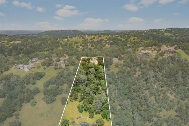 a view of a bunch of trees and bushes