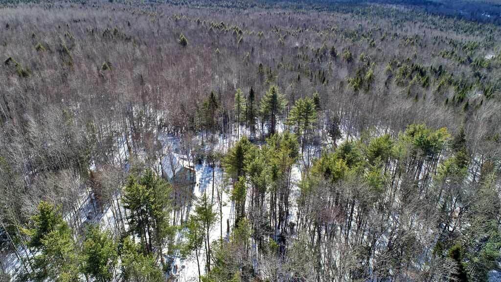 51 Andrews Road Wytopitlock, ME 04497 - Photo 110 of 117 me-aerial-extra-house-woods