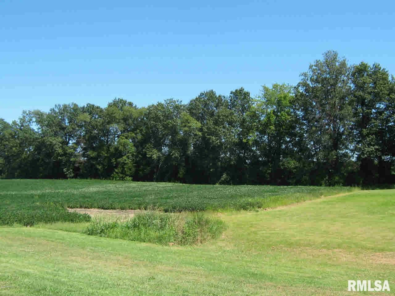 10692 East Freesia Road Mount Vernon, IL 62864 - Photo 7 of 10 Gallery Image 7