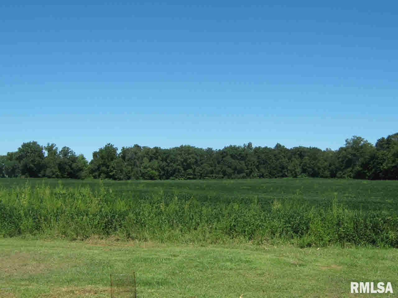 10692 East Freesia Road Mount Vernon, IL 62864 - Photo 8 of 10 Gallery Image 8