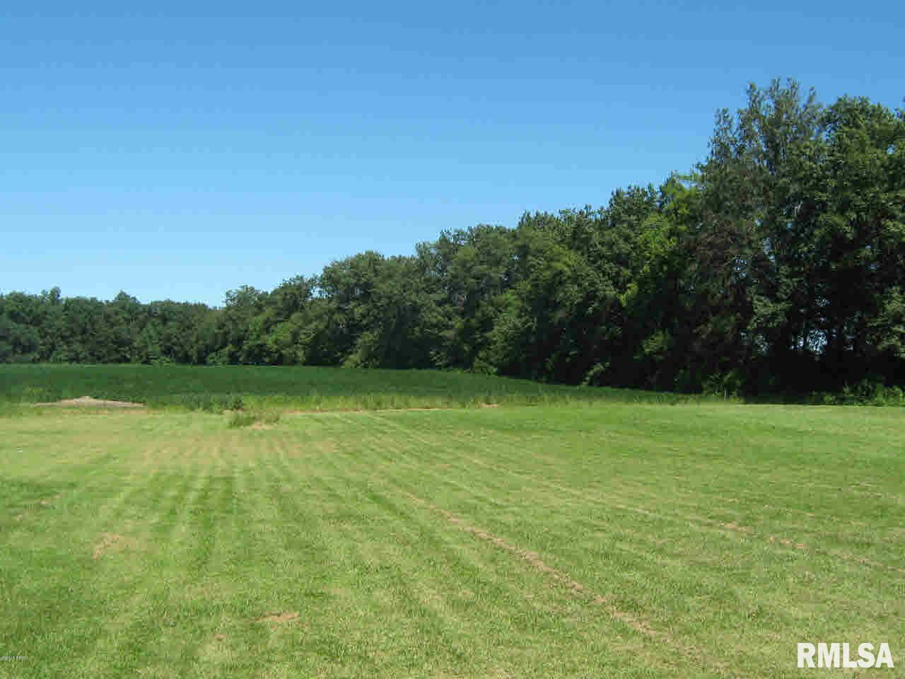 10692 East Freesia Road Mount Vernon, IL 62864 - Photo 10 of 10 Gallery Image 10