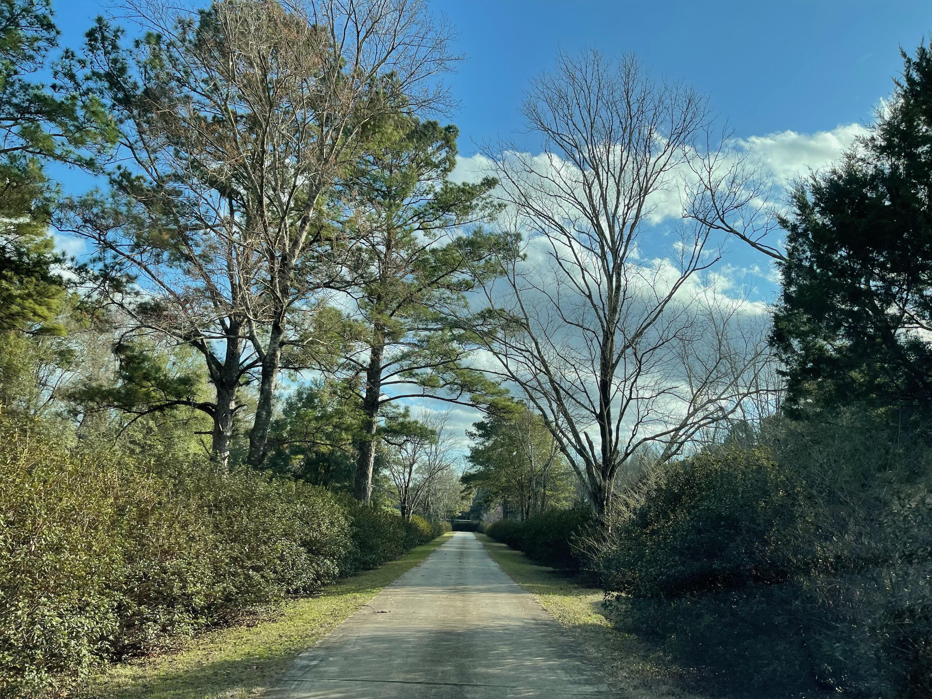 5771 Flora Lee Lane Crestview, FL 32539 - Photo 22 of 66 a view of backyard with green space