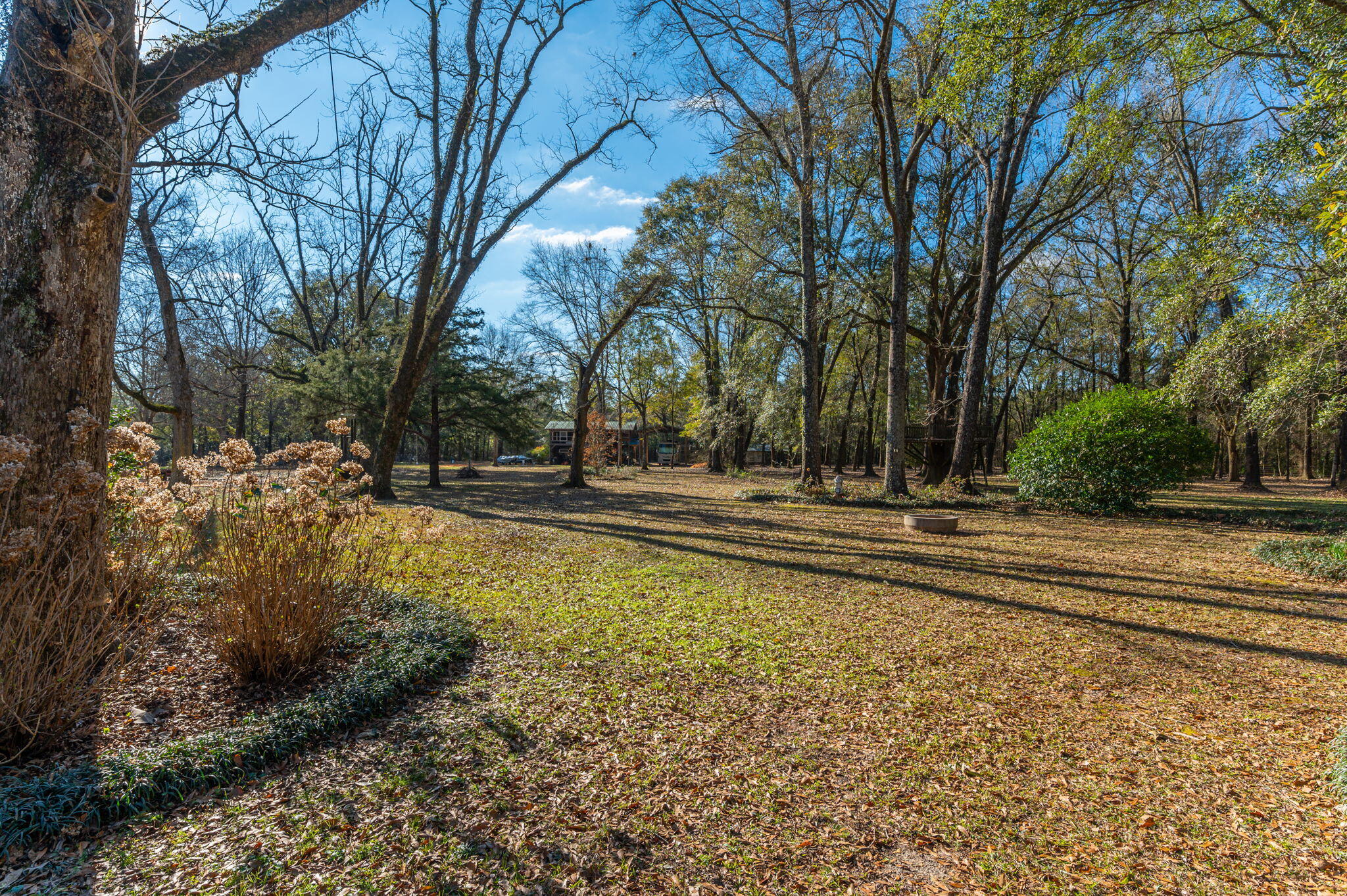 5771 Flora Lee Lane Crestview, FL 32539 - Photo 29 of 66 a view of outdoor space with trees