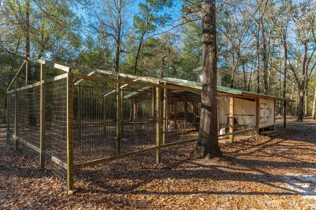 a view of a trees with yard