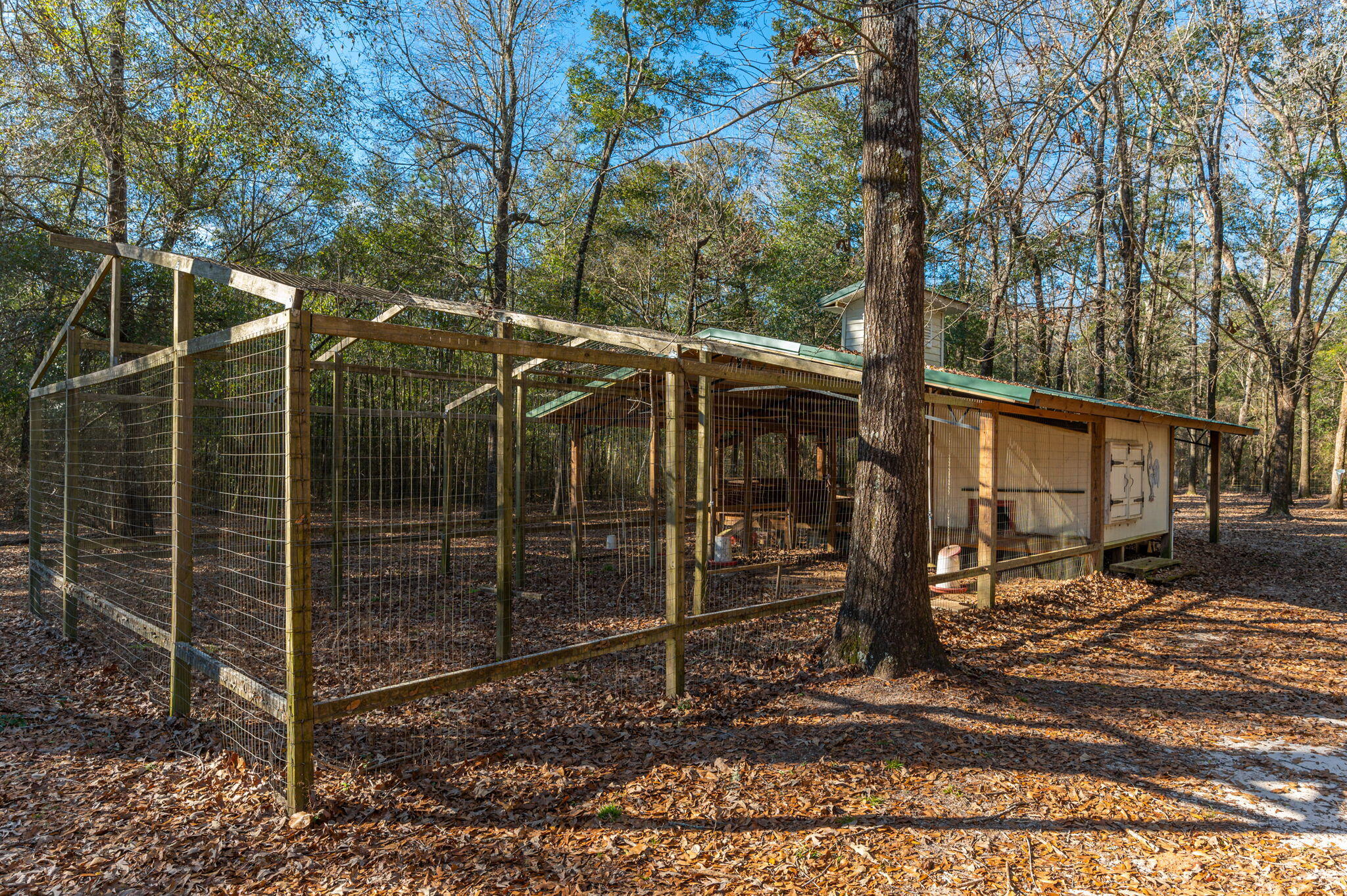5771 Flora Lee Lane Crestview, FL 32539 - Photo 37 of 66 a backyard of a house with lots of green space
