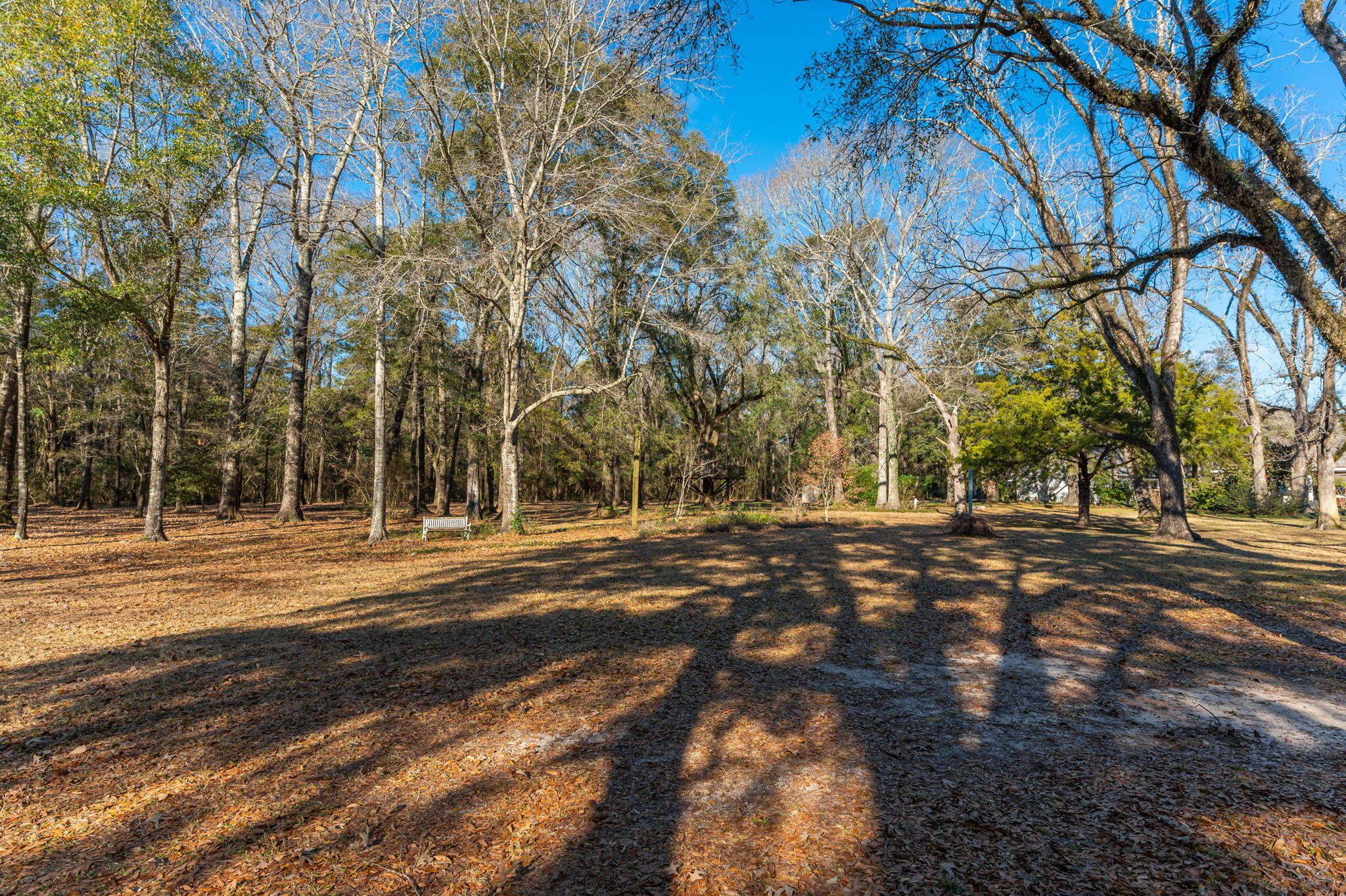 5771 Flora Lee Lane Crestview, FL 32539 - Photo 39 of 66 a view of a park