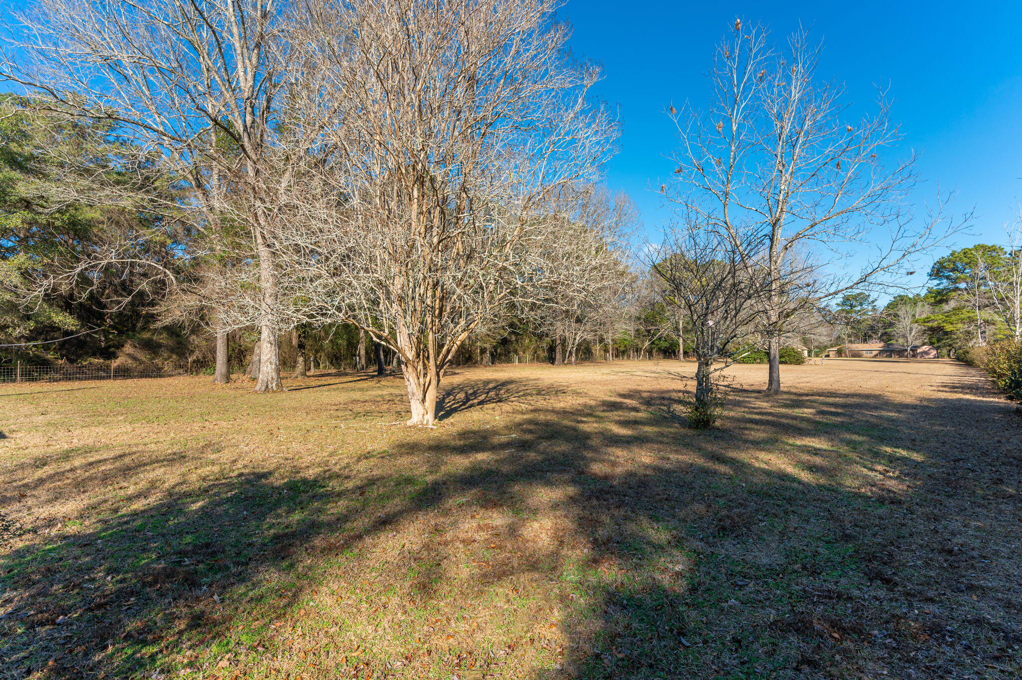 5771 Flora Lee Lane Crestview, FL 32539 - Photo 44 of 66 a view of a yard with a tree