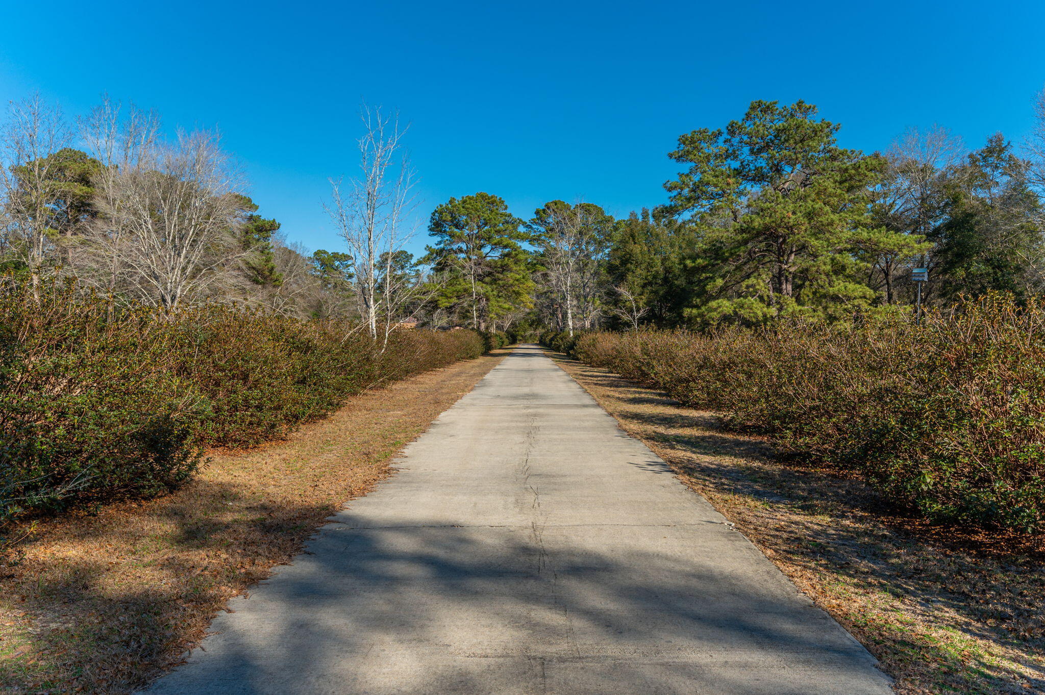 5771 Flora Lee Lane Crestview, FL 32539 - Photo 45 of 66 a view of a pathway with a yard