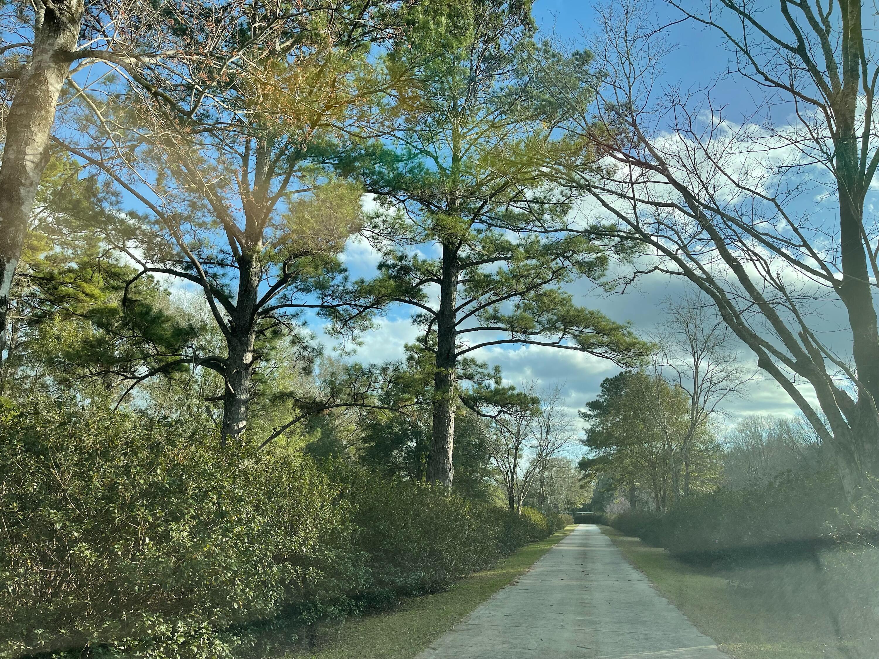5771 Flora Lee Lane Crestview, FL 32539 - Photo 48 of 66 a view of a yard