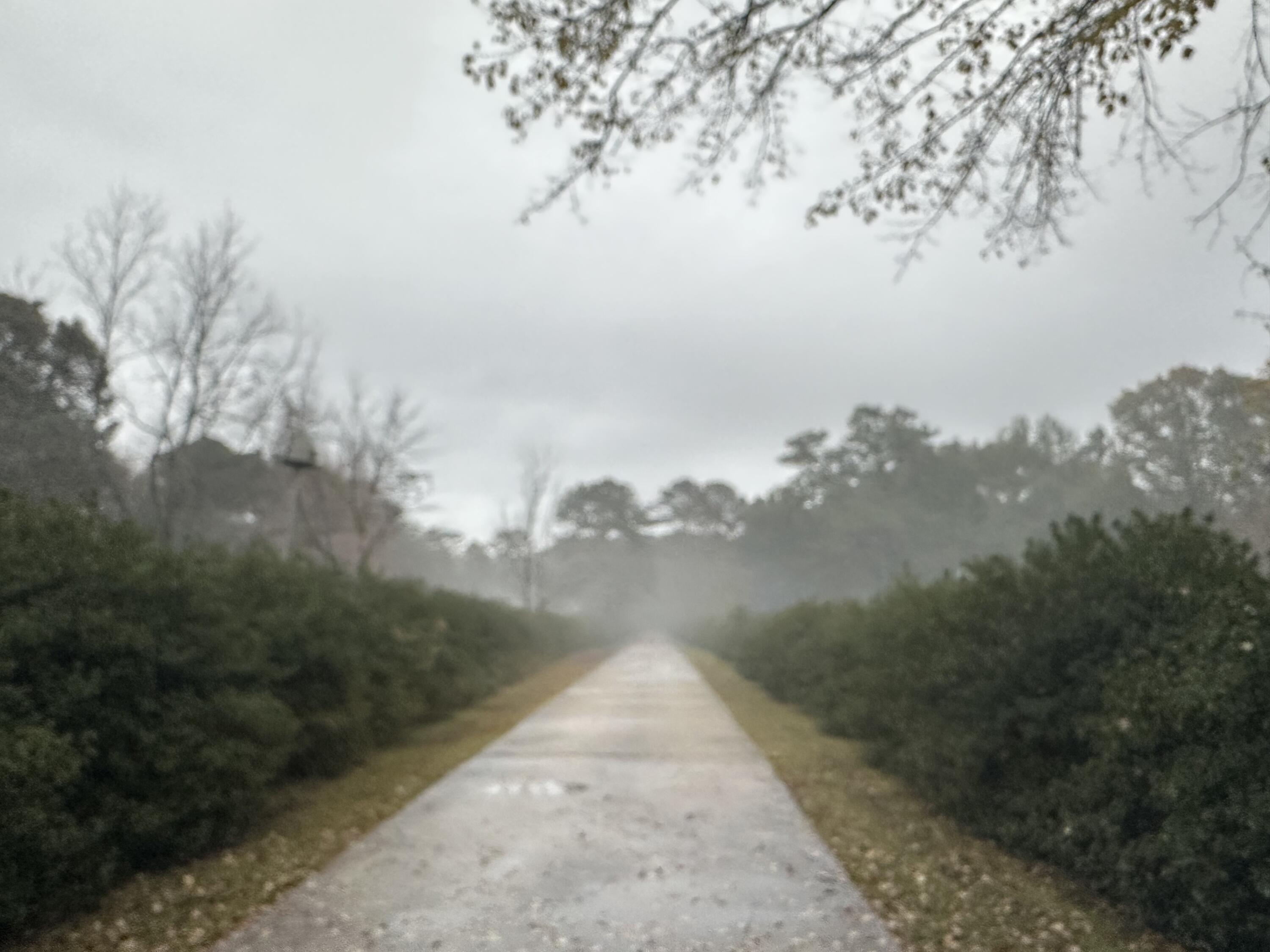 5771 Flora Lee Lane Crestview, FL 32539 - Photo 65 of 66 IMG_5373