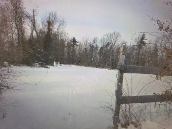a view of a snow on the yard