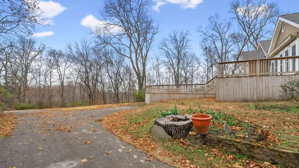 a view of a yard with plants and trees