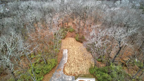 a view of a yard