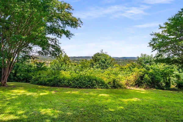 a view of a big yard with plants and large trees