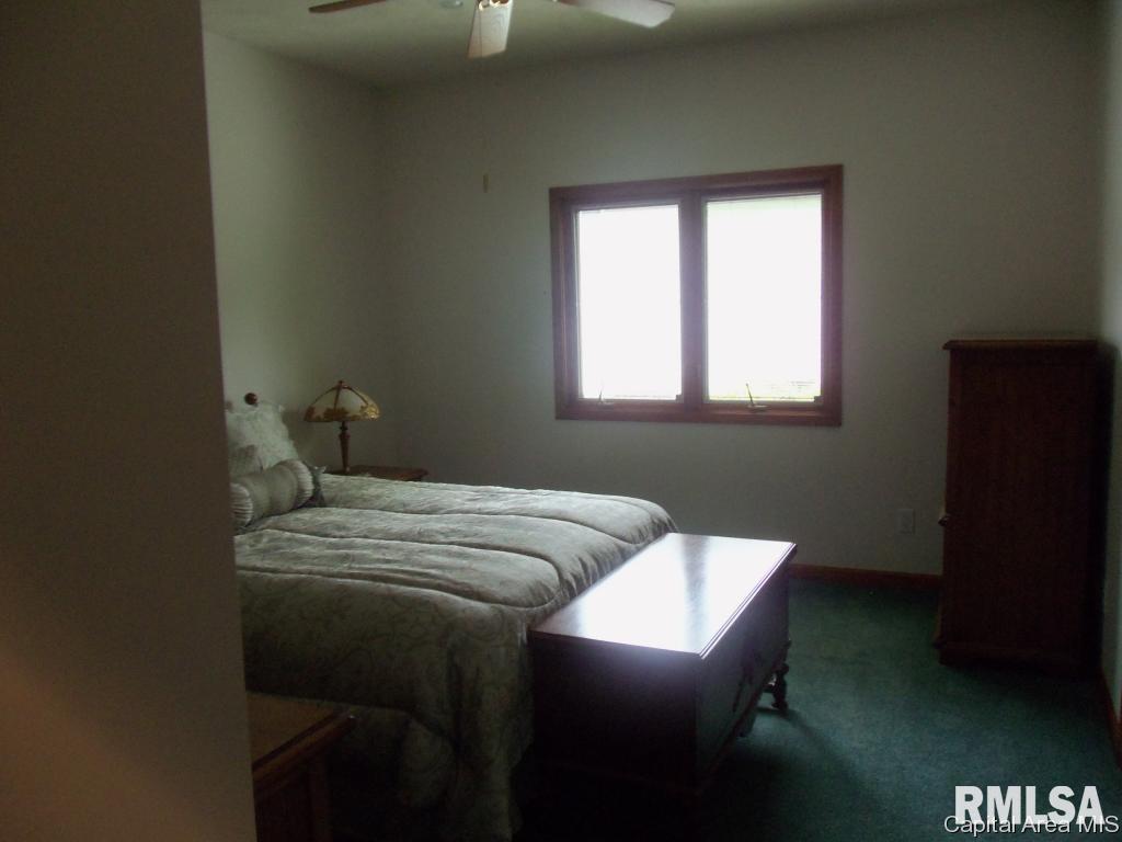 4084 Mill Stone Drive Springfield, IL 62711 - Photo 13 of 22