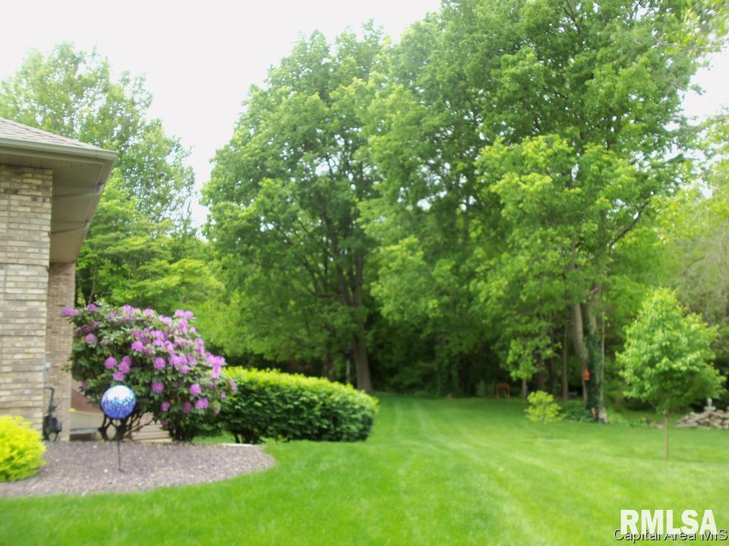 4084 Mill Stone Drive Springfield, IL 62711 - Photo 19 of 22