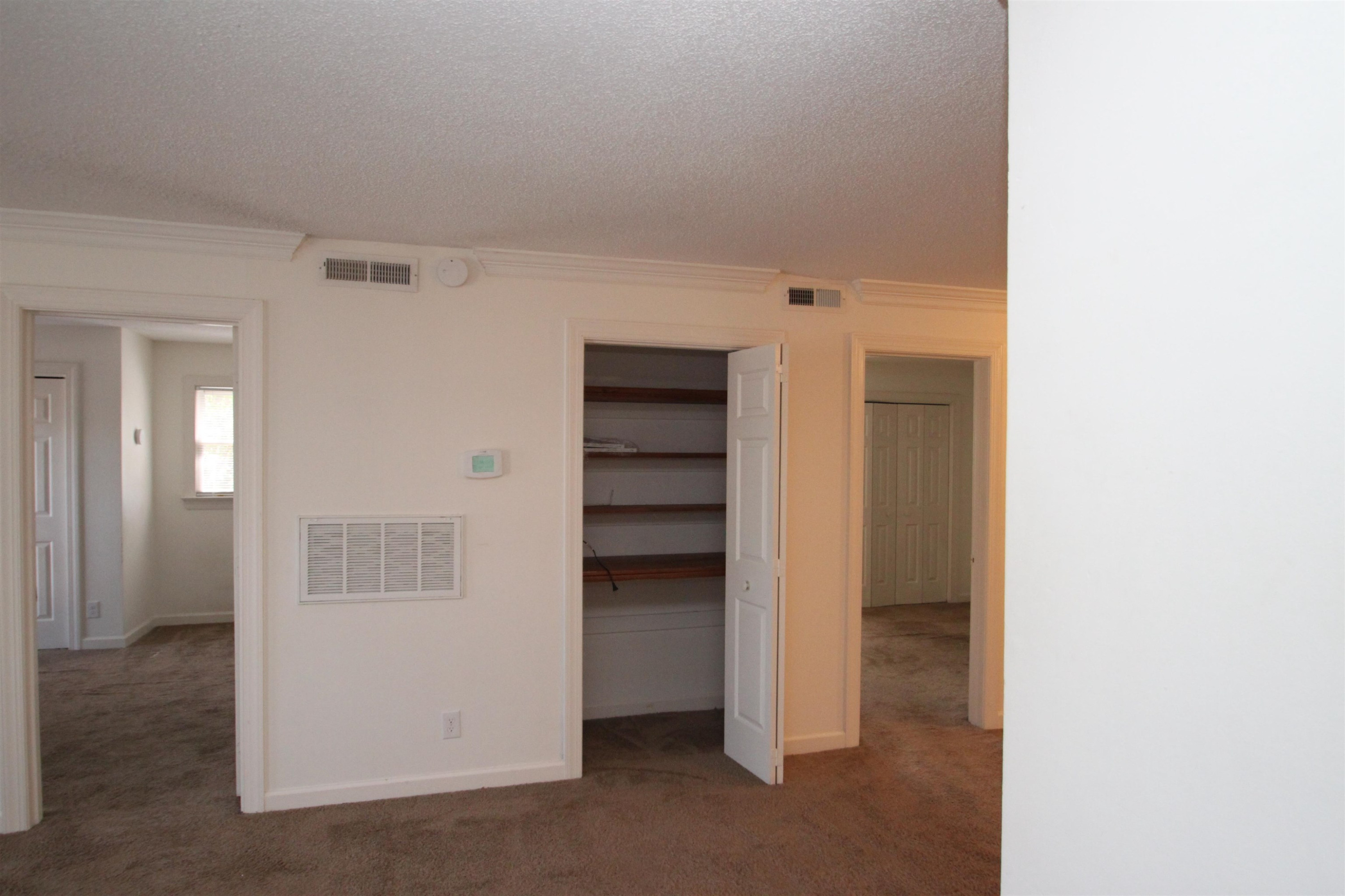 3537 Ivy Commons Drive, Unit 202 Raleigh, NC 27606 - Photo 29 of 51 Storage closet