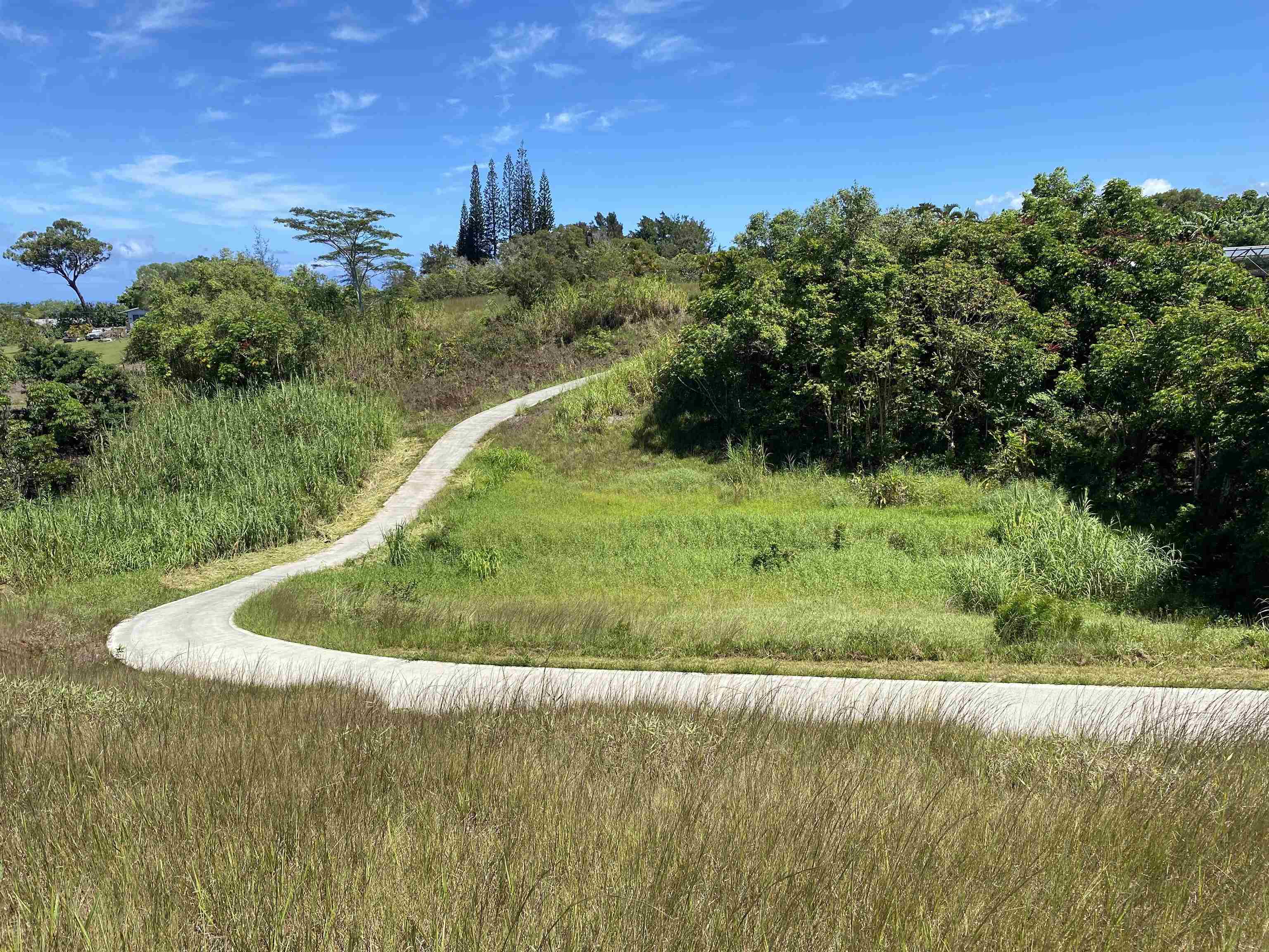 28 South Honokala Road, Unit A Haiku, HI 96708 - Photo 38 of 50