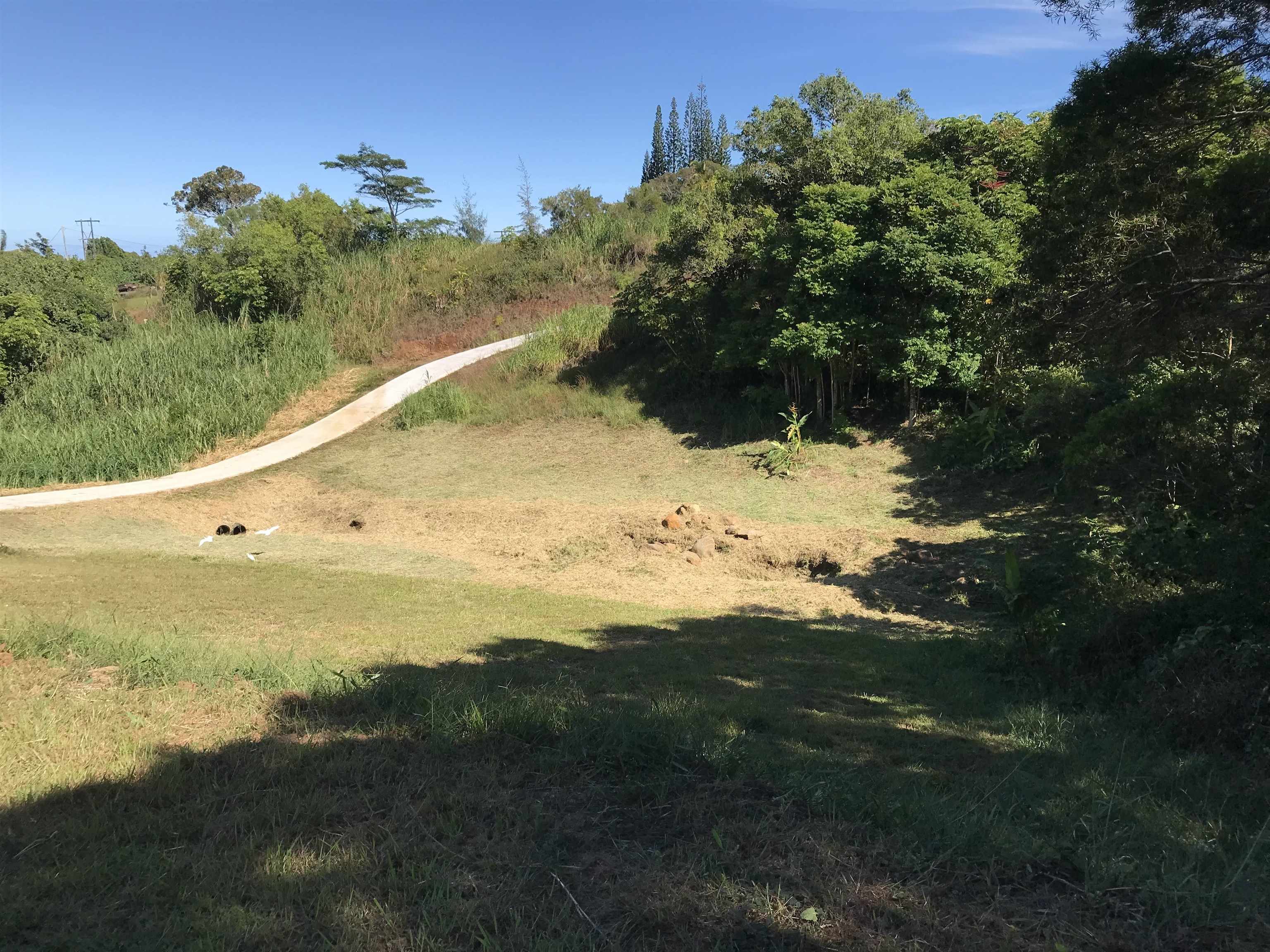 28 South Honokala Road, Unit A Haiku, HI 96708 - Photo 39 of 50