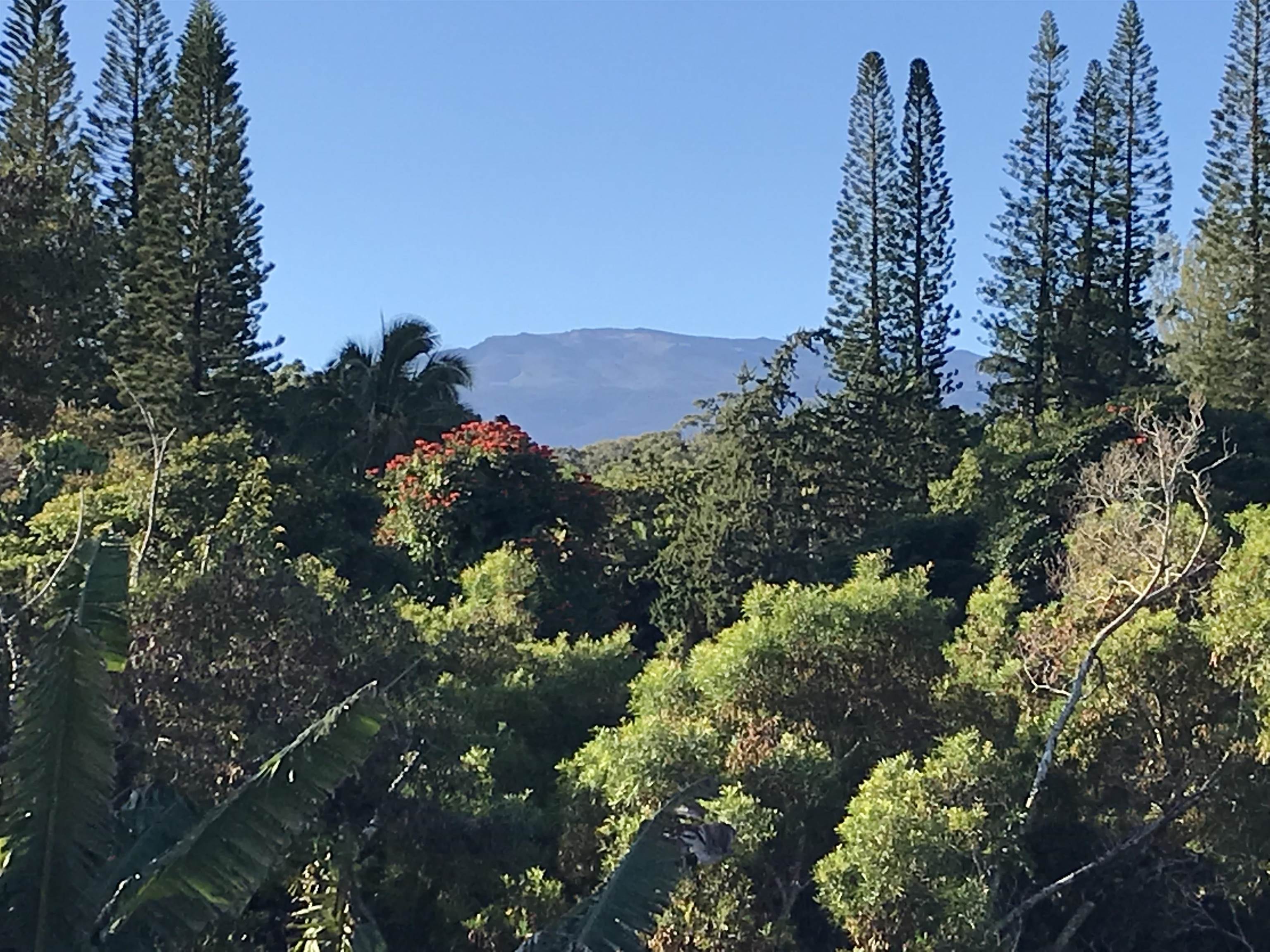 28 South Honokala Road, Unit A Haiku, HI 96708 - Photo 49 of 50