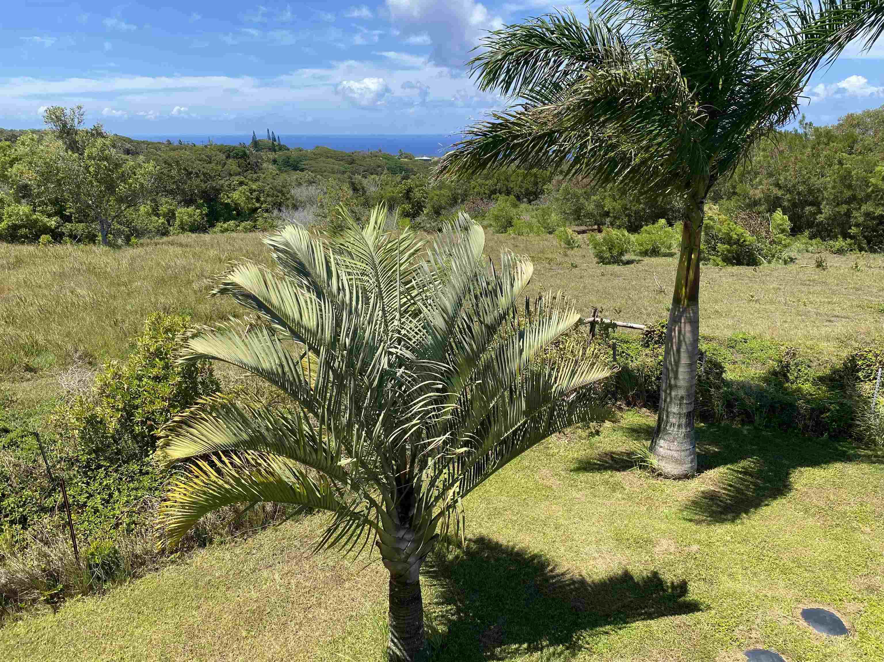 28 South Honokala Road, Unit A Haiku, HI 96708 - Photo 6 of 50