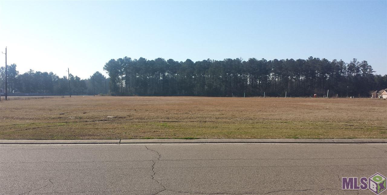 28261 South Frost Road Livingston, LA 70754 - Photo 1 of 2 Gallery Image 1