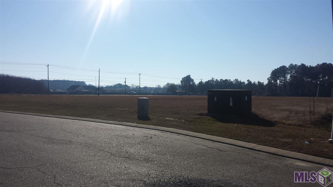 28261 South Frost Road Livingston, LA 70754 - Photo 2 of 2 Gallery Image 2
