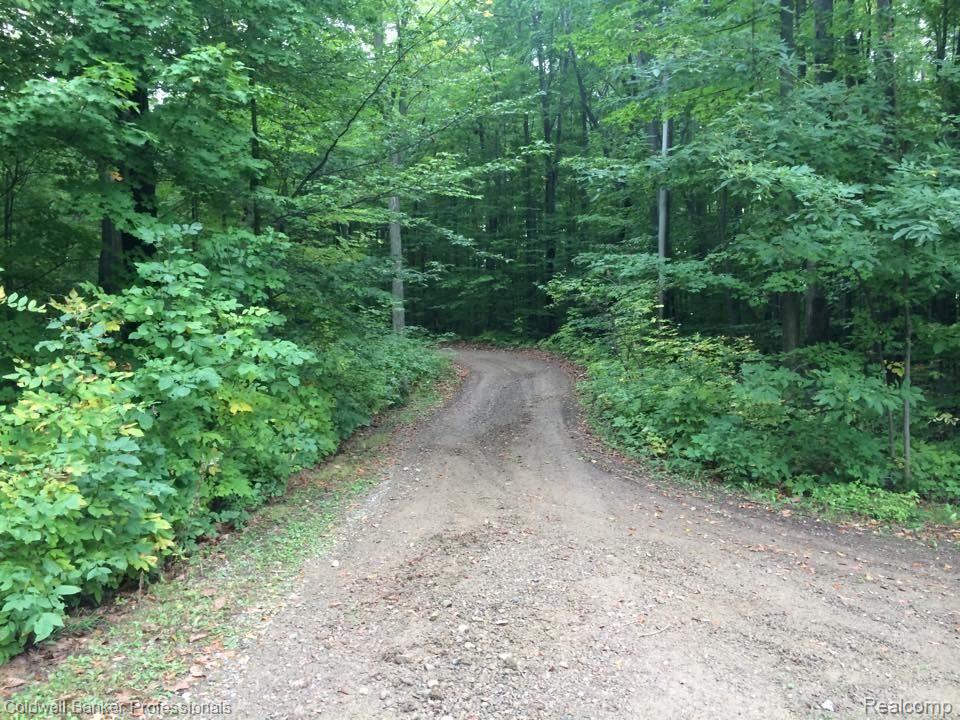 5945 Summers Road North Branch, MI 48461 - Photo 22 of 26 12096627_10153206902418693_3256668836045782211_n.jpg