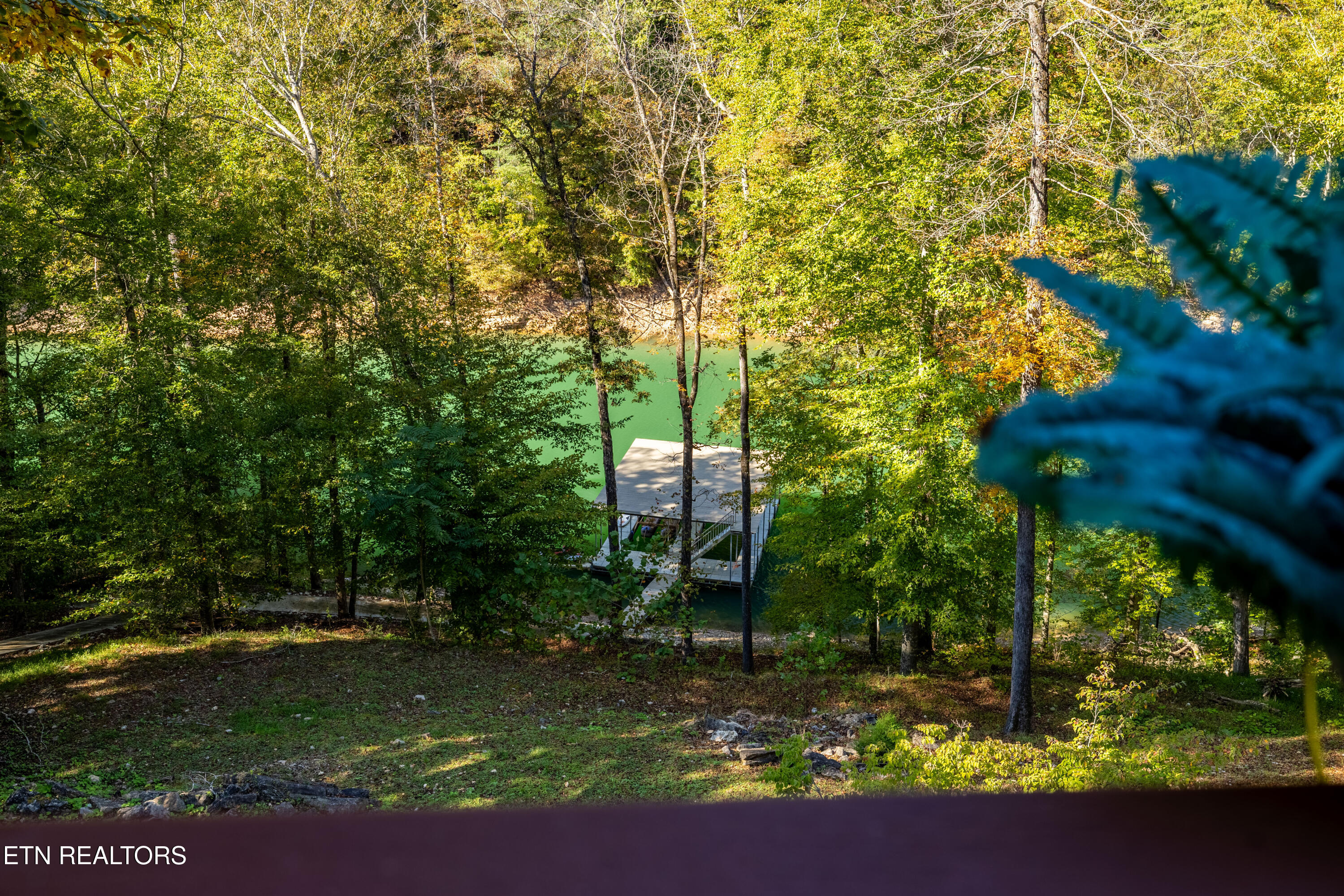 715 Landmark Road Jacksboro, TN 37757 - Photo 48 of 53 715LandmarkRd-98