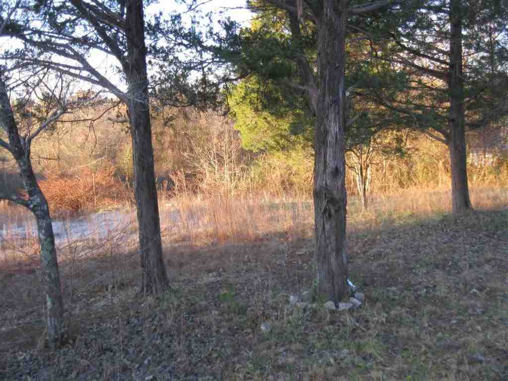 134 Indian Oaks Road Seneca, SC 29672 - Photo 2 of 6