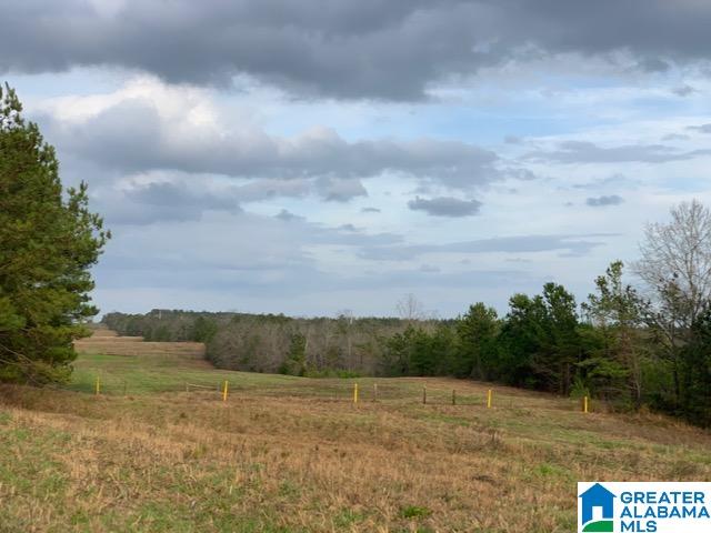0 County Road 99, Unit 1 Verbena, AL 36091 - Photo 6 of 11