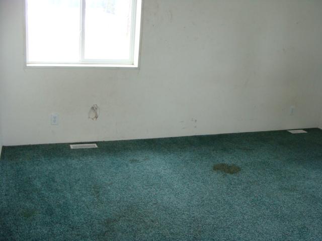 201 North Frantz Road Elk, WA 99009 - Photo 3 of 8
