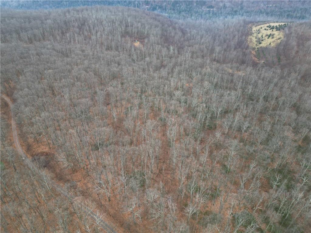 0 Johnson Road Mahaffey, PA 15757 - Photo 3 of 3