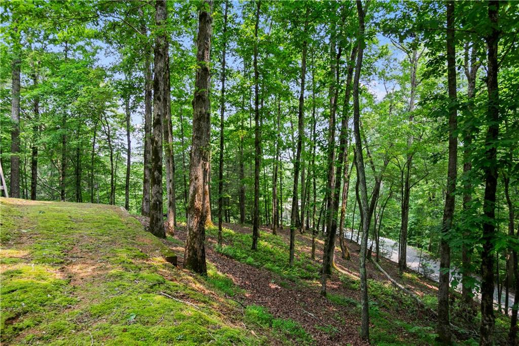 100 Oboe Court Ellijay, GA 30540 - Photo 35 of 47