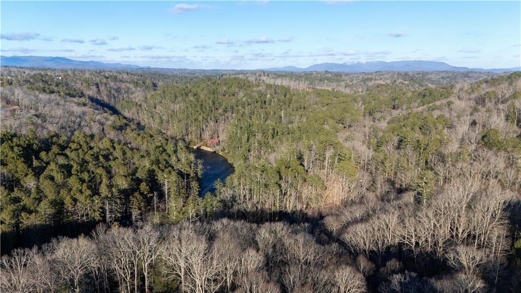100 Oboe Court Ellijay, GA 30540 - Photo 47 of 47