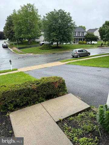 a view of a park with large trees