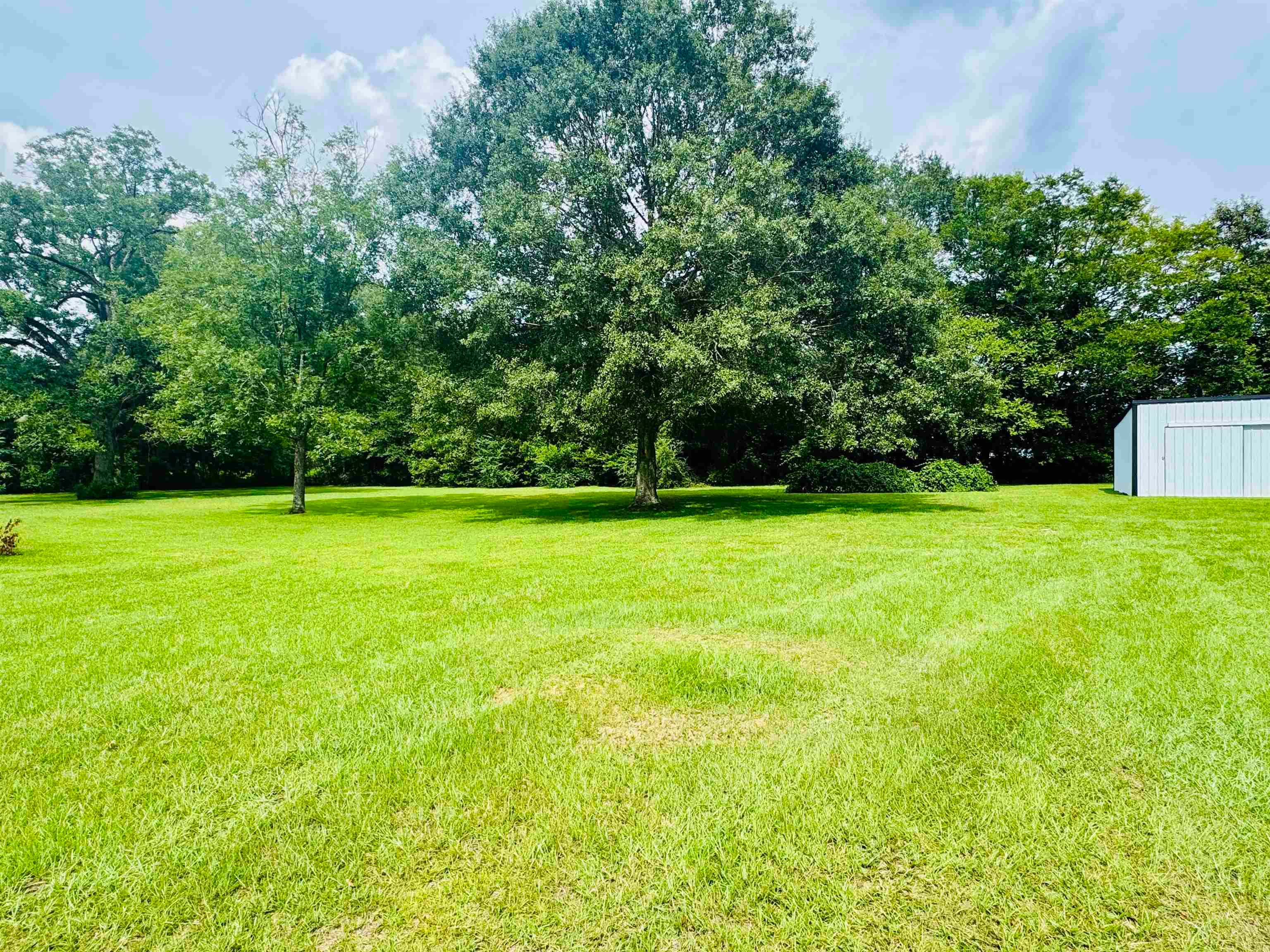 5364 Old 3 Notch Road Brantley, AL 36009 - Photo 11 of 31 Gallery Image 11