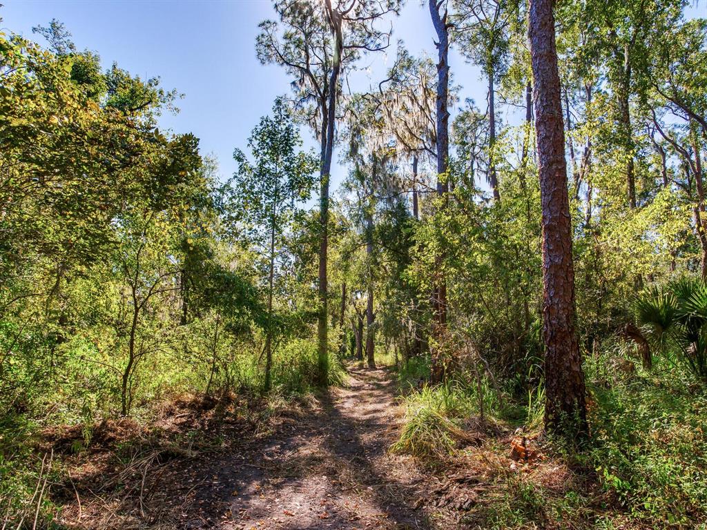 Drawdy Road Plant City, FL 33567 - Photo 11 of 30