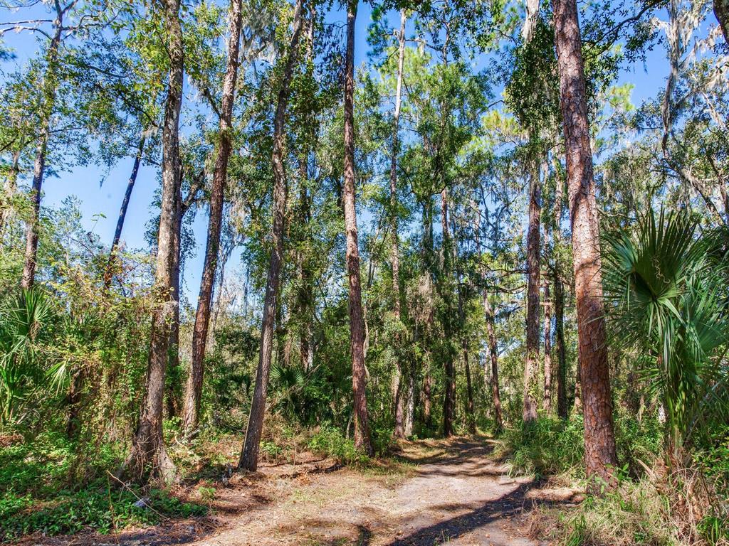 Drawdy Road Plant City, FL 33567 - Photo 12 of 30