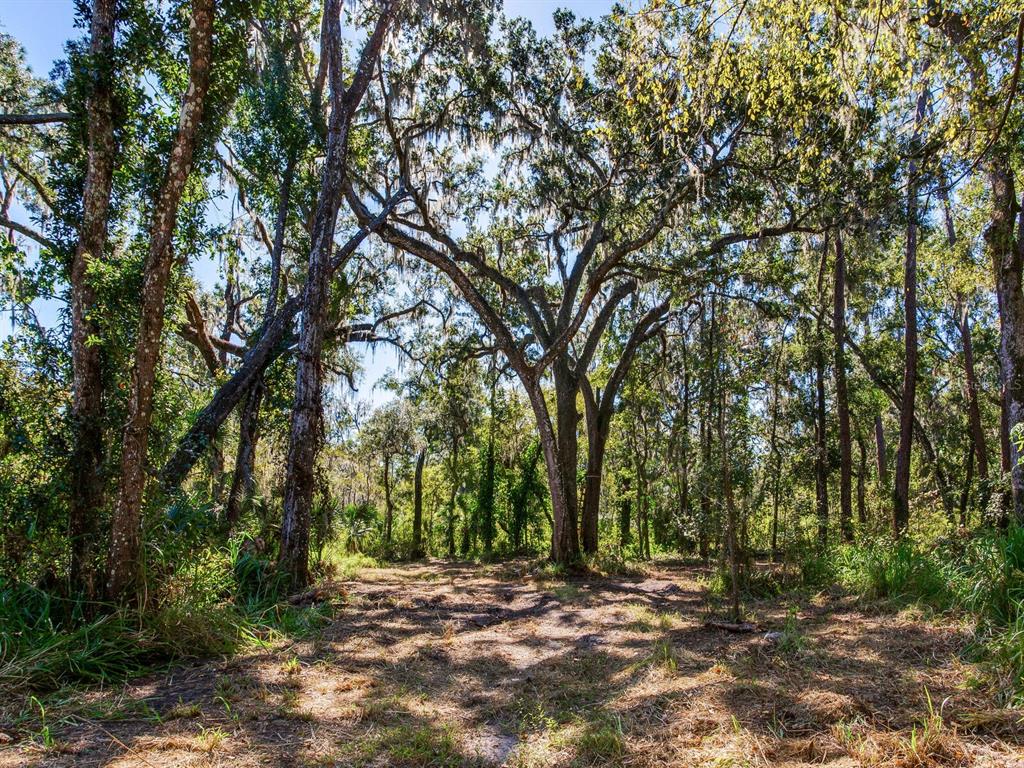 Drawdy Road Plant City, FL 33567 - Photo 13 of 30