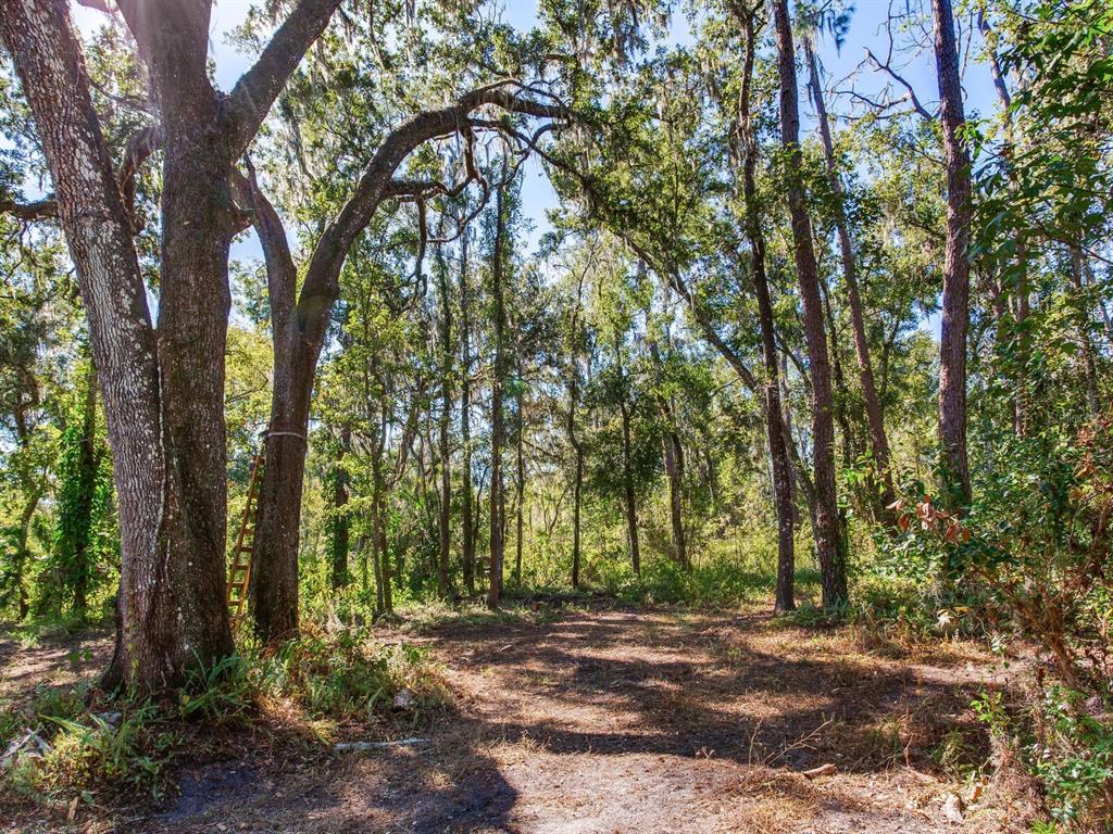 Drawdy Road Plant City, FL 33567 - Photo 14 of 30