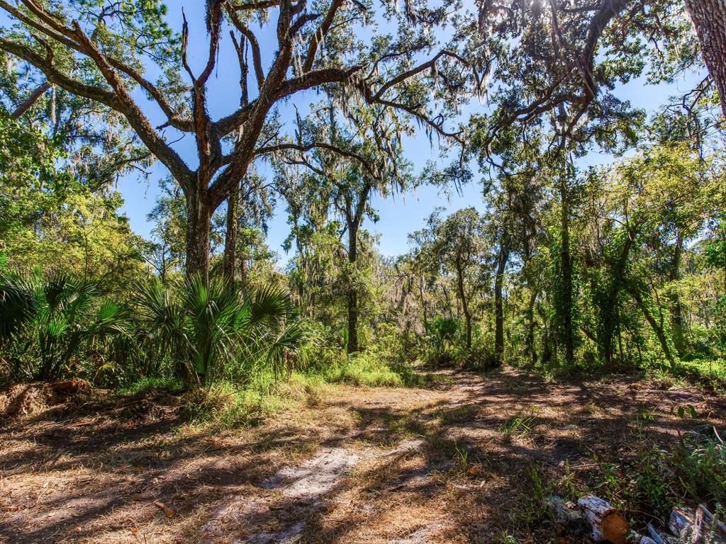 Drawdy Road Plant City, FL 33567 - Photo 15 of 30