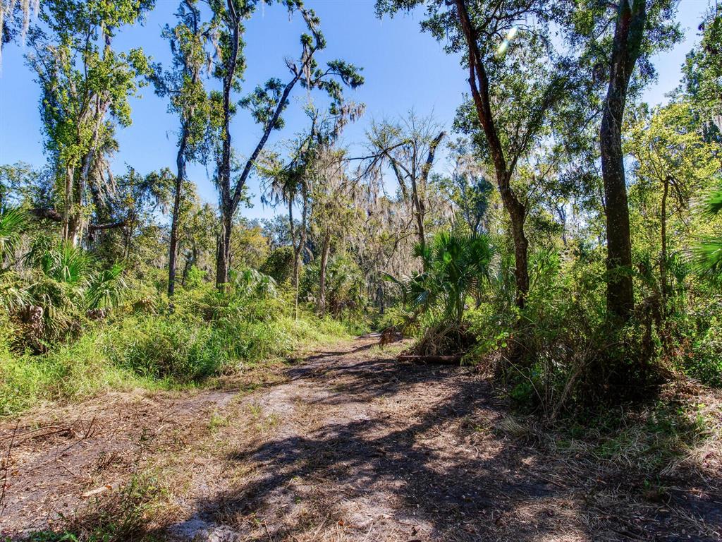 Drawdy Road Plant City, FL 33567 - Photo 17 of 30