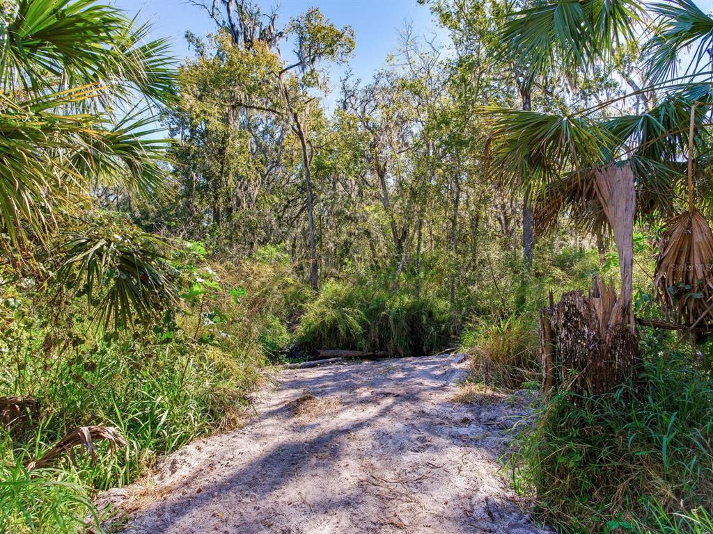 Drawdy Road Plant City, FL 33567 - Photo 18 of 30