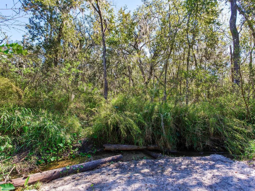 Drawdy Road Plant City, FL 33567 - Photo 20 of 30