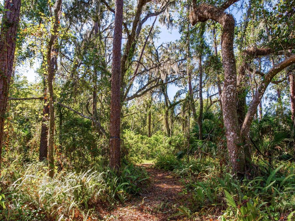 Drawdy Road Plant City, FL 33567 - Photo 2 of 30