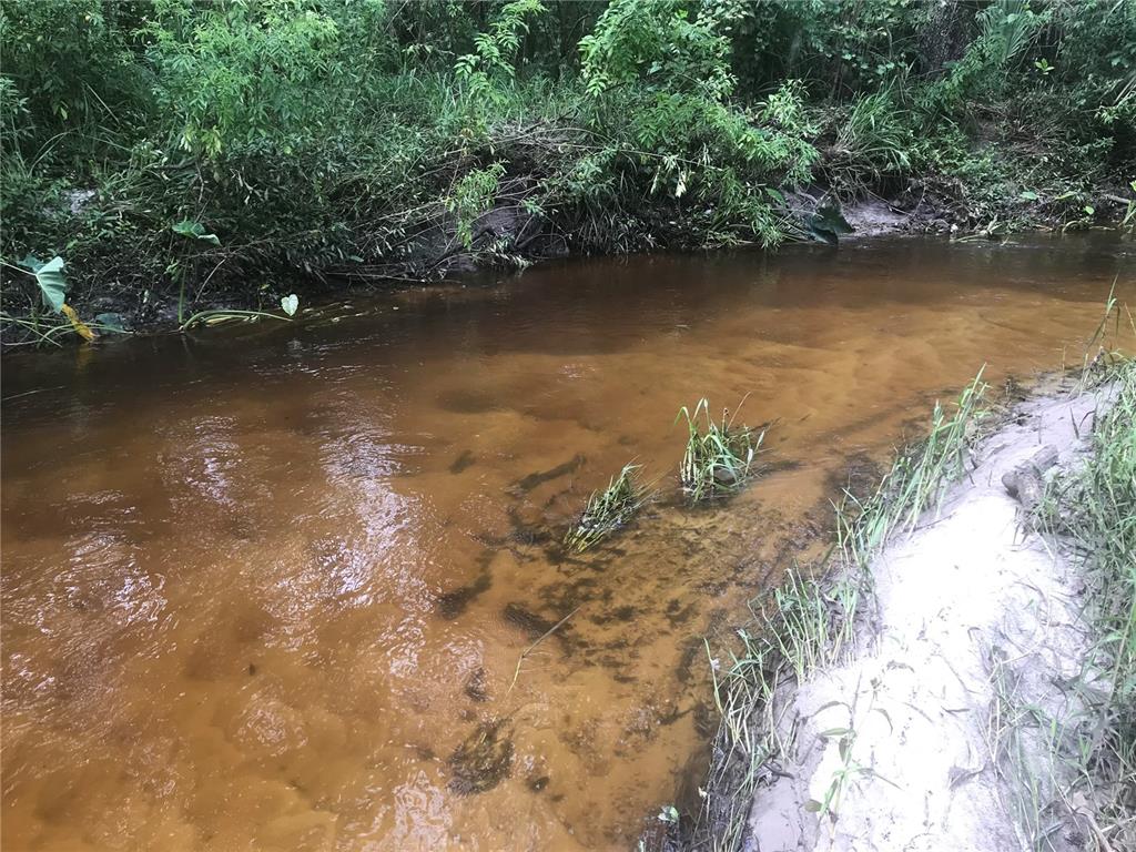 Drawdy Road Plant City, FL 33567 - Photo 21 of 30