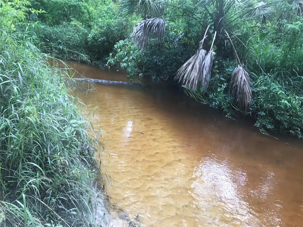Drawdy Road Plant City, FL 33567 - Photo 22 of 30