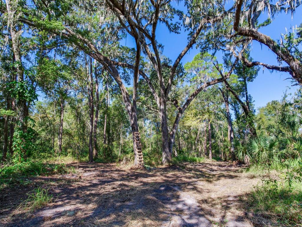 Drawdy Road Plant City, FL 33567 - Photo 23 of 30